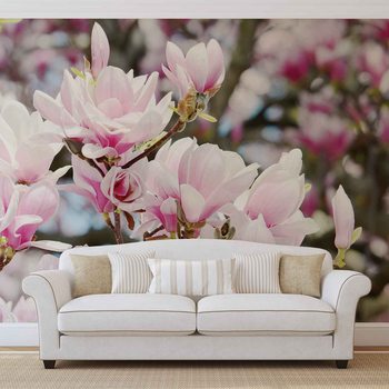 Magnolia Flowers Wallpaper Mural