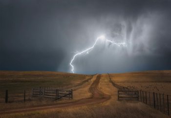 Midlands Mayhem Wallpaper Mural