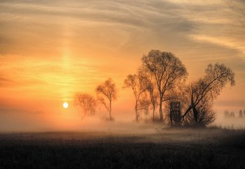 Misty Sunset Wallpaper Mural