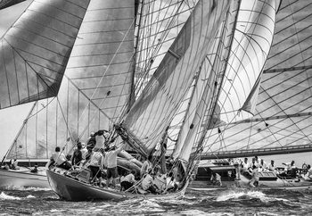 Moonbeams Crossing Wallpaper Mural