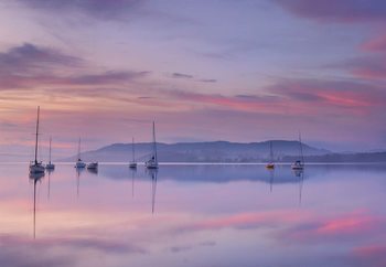 Morning Mood Wallpaper Mural