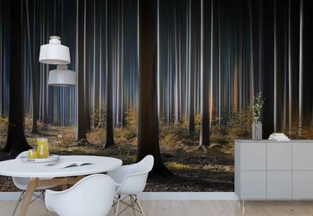 Mystic Wood Wallpaper Mural