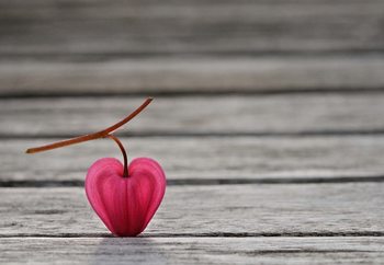 Фототапет Natural Heart