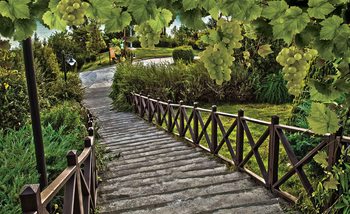 Path Grapes Nature Wallpaper Mural