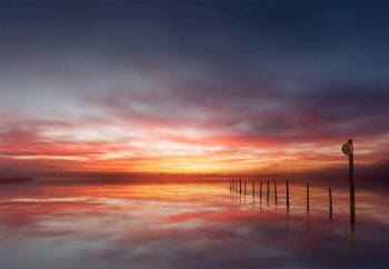 Peaceful Wallpaper Mural