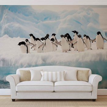 Penguins Wallpaper Mural