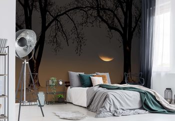 Place Of Silence Wallpaper Mural