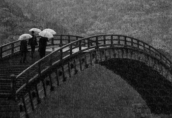 Фототапет Rainy Walk