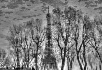 Reflection Wallpaper Mural