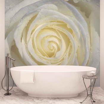 Rose Flower White Wallpaper Mural