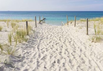 Sandy Beach Path To The Sea Coastal Wallpaper Mural
