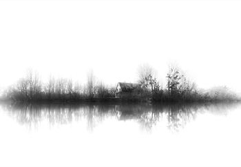 Фототапет Silence