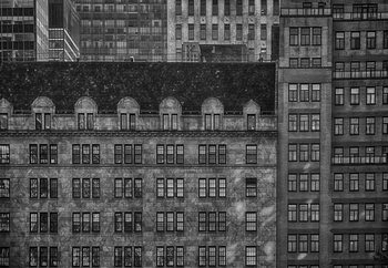 Small Windows Of Opportunity Wallpaper Mural