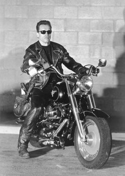 Ταπετσαρία Terminator 2