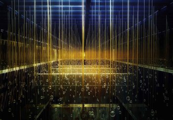 The Ceiling Wallpaper Mural