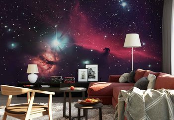 The Horse In The Sky Wallpaper Mural