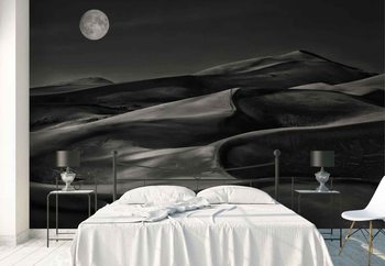 The Night Walked Down The Sky Wallpaper Mural