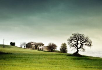 The View Wallpaper Mural