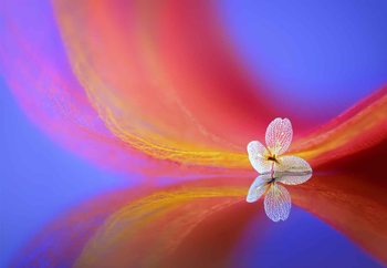 The Whisper Wallpaper Mural