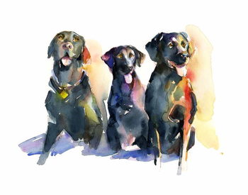Ταπετσαρία Three Black Labs, 2015,