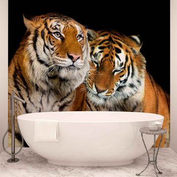 Tigers Wallpaper Mural