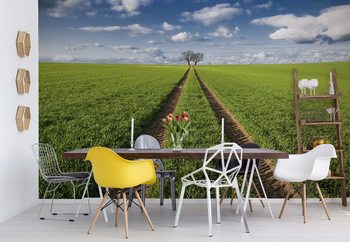 Trace & Trees Wallpaper Mural