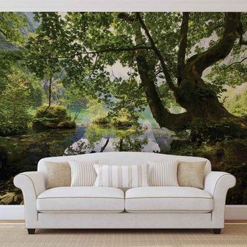 Tree Lake Nature Wallpaper Mural