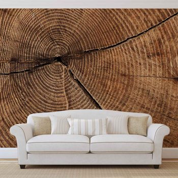 Tree Stump Rings Wallpaper Mural