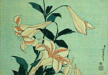 Фототапет Trumpet Lilies