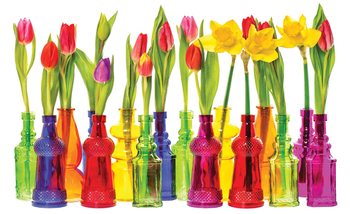 Tulips in Bottles Wallpaper Mural
