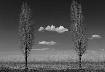 Two Of Us Wallpaper Mural