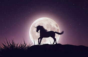 Wall Mural Unicorn