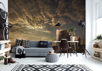 Walking In Savannah Wallpaper Mural