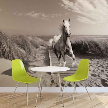 White Horse Beach Grey Wallpaper Mural