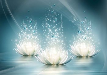 White Lotus Flowers Drops Wallpaper Mural