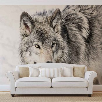 Wolf Animal Wallpaper Mural