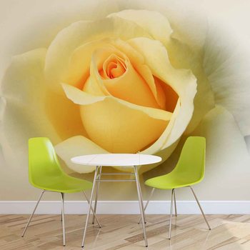 Yellow Rose Wallpaper Mural
