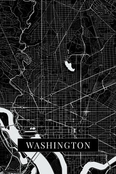 Принти на полотні Washington black