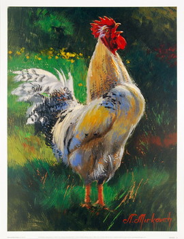 Art Print White and Yellow Rooster