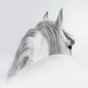 Γυάλινη τέχνη White Horse