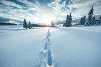 Αυτοκόλλητο Winter Landscape