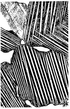 Μπλουζάκι Woodcut Pattern