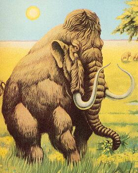 Sticker Woolly Mammoth