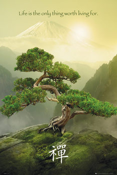 Плакат с рамка Zen