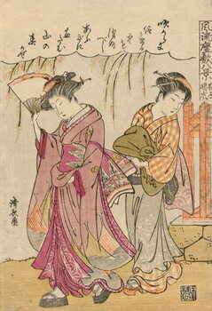 Αφίσα A Fan Suggesting a Dispersed Storm