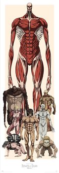 Αφίσα πόρτας Attack on Titan