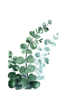 Αφίσα Blursbyai - Watercolour eucalyptus