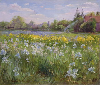 Αφίσα Bonfire and Iris Field, 1993