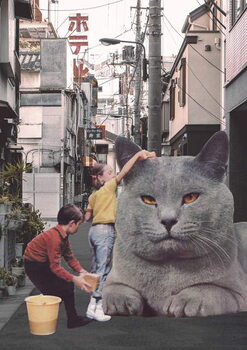 Αφίσα Children washing a giant Cat in Tokyo Streets