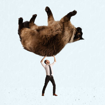 Αφίσα Contemporary art collage. Surreal artwork. Businessman